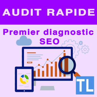 Audit rapide site web – Analyse essentielle SEO & technique